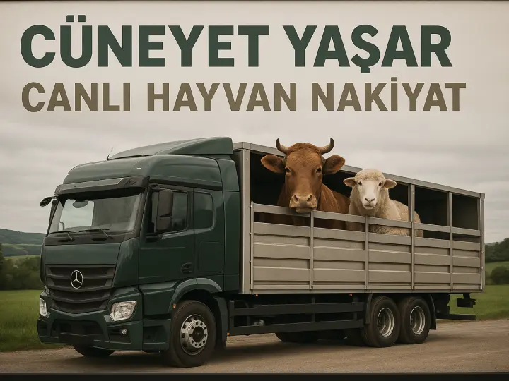 CÜNEYT YAŞAR CANLI HAYVAN NAKLİYAT