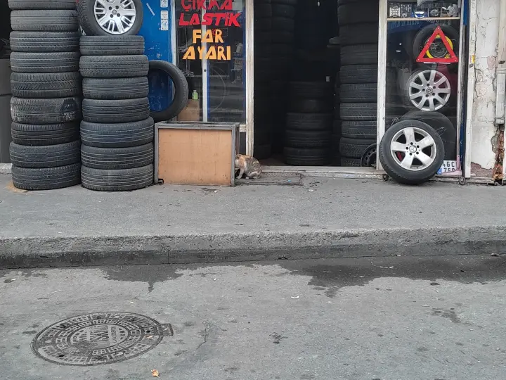 Demirel Oto Lastik