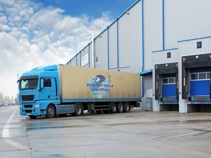 Dinamik Frigo Lojistik