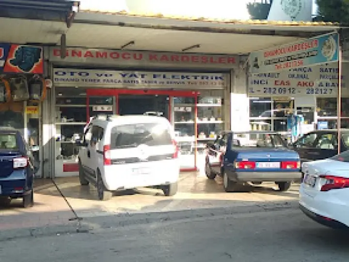 Dinamocu Kardeşler