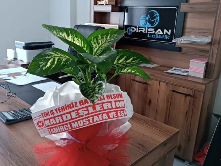 Dirisan Lojistik