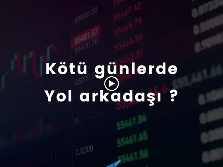 DNZ SİGORTA LİMİTED ŞİRKETİ