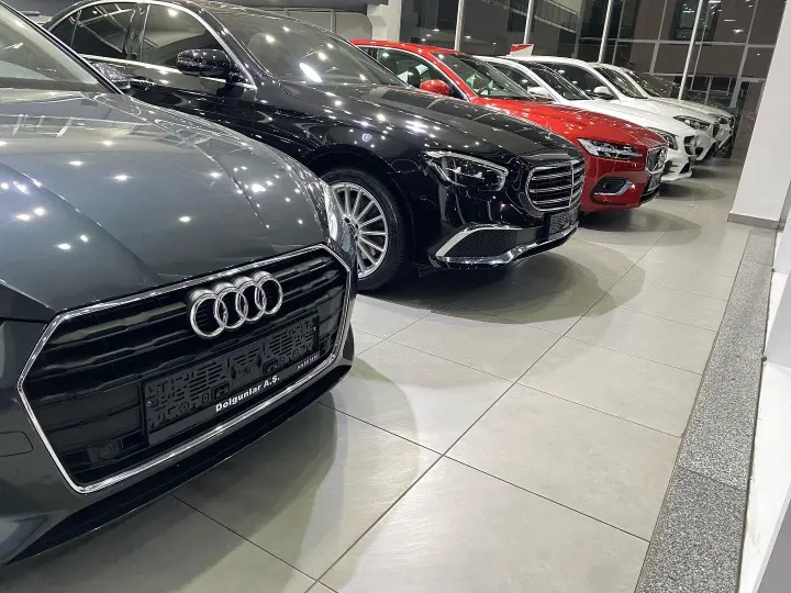 Dolgunlar Otomotiv Aş