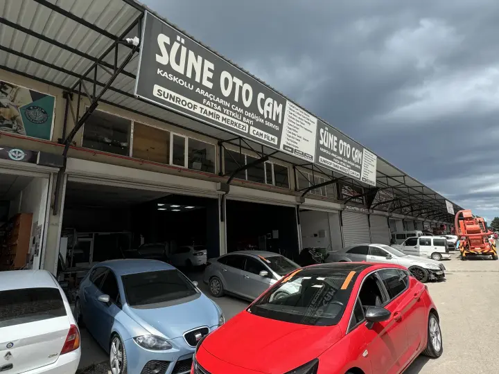 Doraglass Bayi Süne Oto Cam