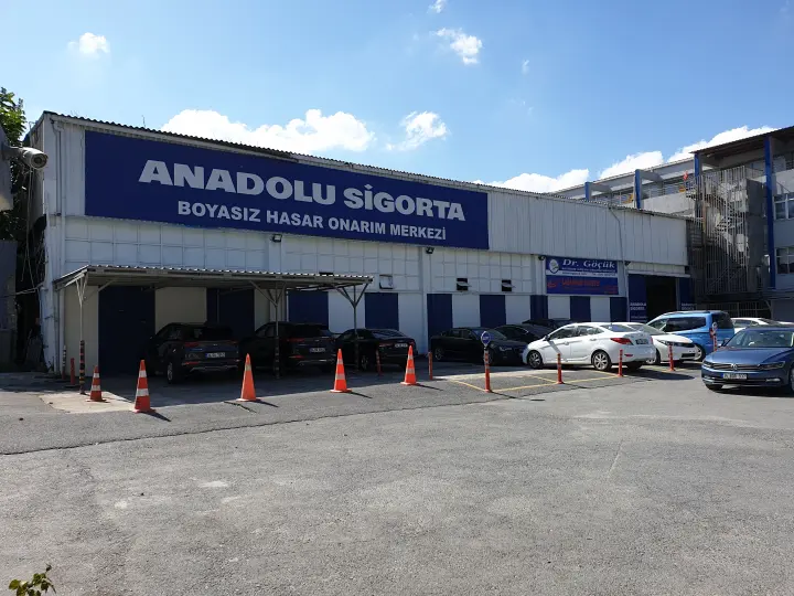 Dr. Niketya Atek Otomotiv