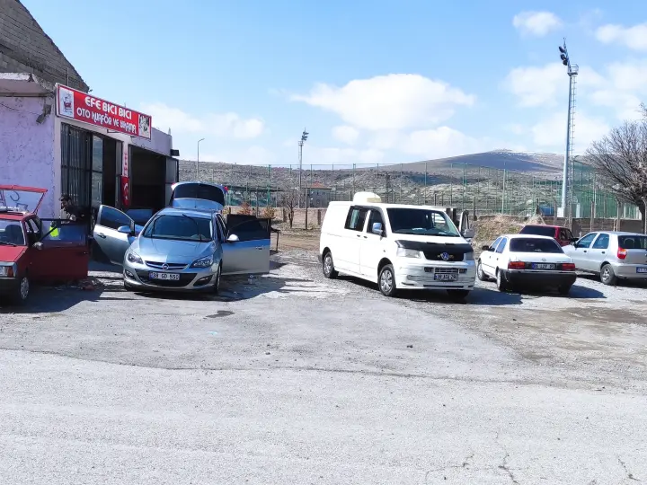 Efe Bıcı Bıcı
