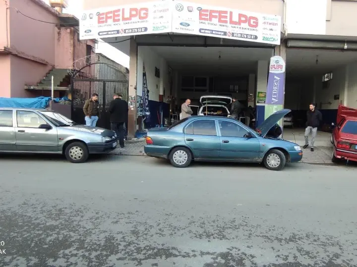 Efe Lpg sıralı otogaz sistemleri