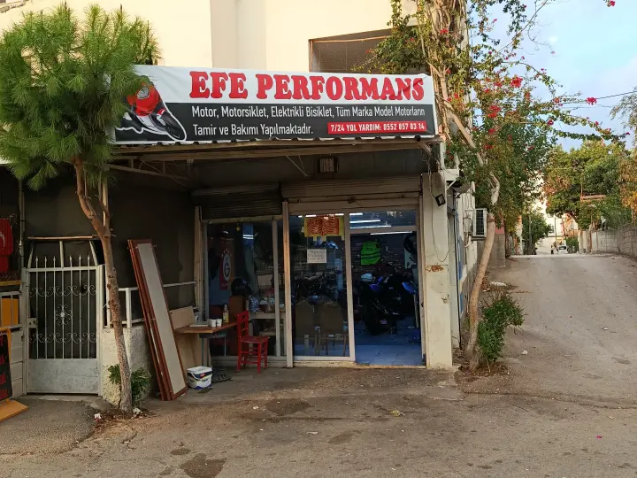 Efe Performans