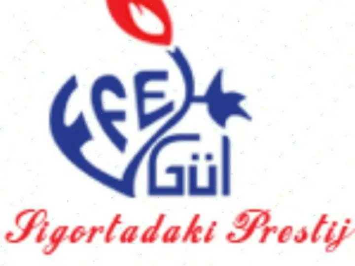 EFEGÜL SİGORTA ARACILIK HİZMETLERİ