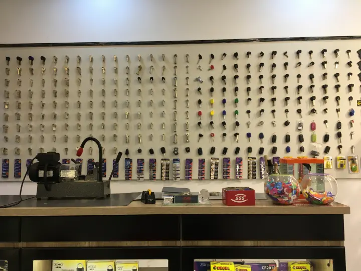 Ege Anahtar Polatlı Çilingir