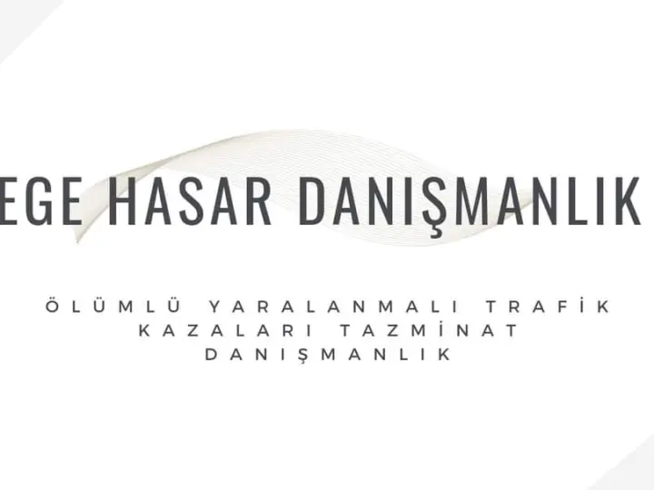 EGE DANIŞMANLIK