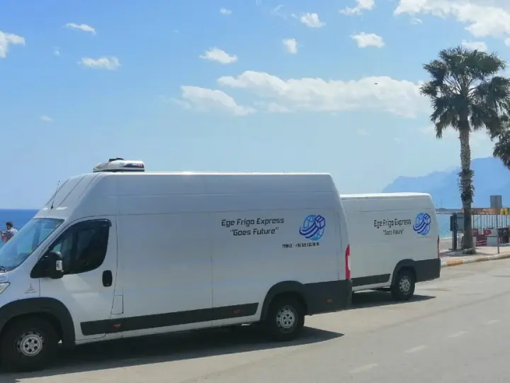 EGE GLOBAL LOGISTICS