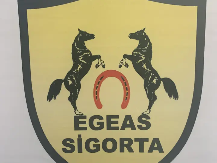 Egeas Sigorta Çerkezköy şubesi