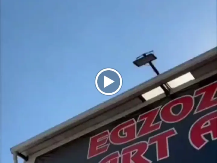 Egzozcu Abart Alişan