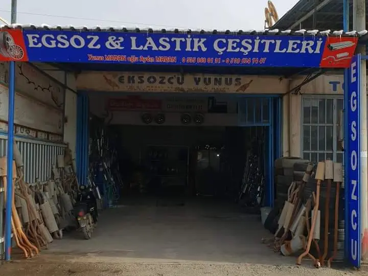 Egzozcu Aydın