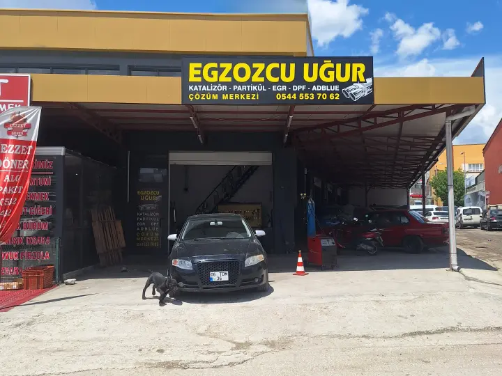 Egzozcu uğur