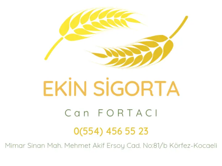 Ekin Sigorta - Can Fortacı