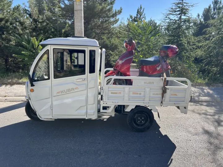 Elektrik li nakliyat