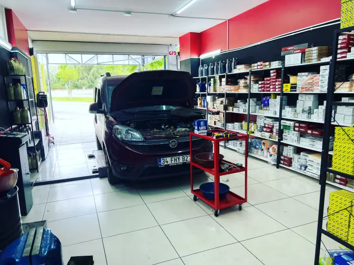 Elf oto bakım