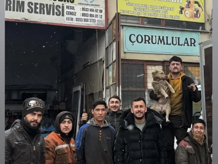 ELKA LOJİSTİK İNŞ.OTOMOTİV HAYV. SAN. TİC. LTD. ŞTİ