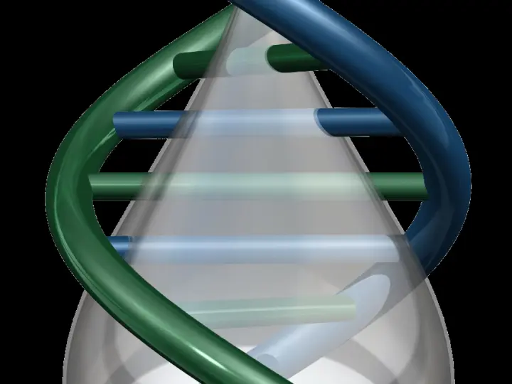 Erem Medikal Araştırma ve Danışmanlık A.Ş.