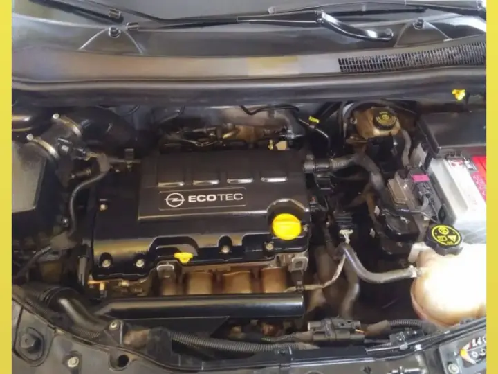 EREN OPEL