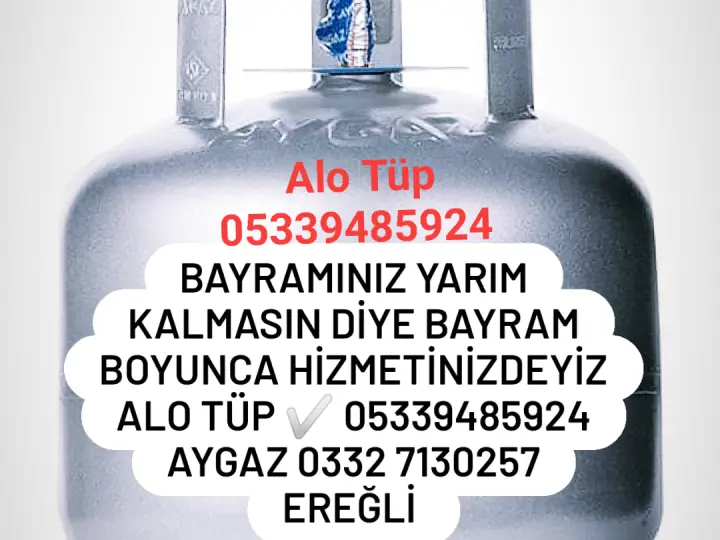 Ergaz Tüp Bayi