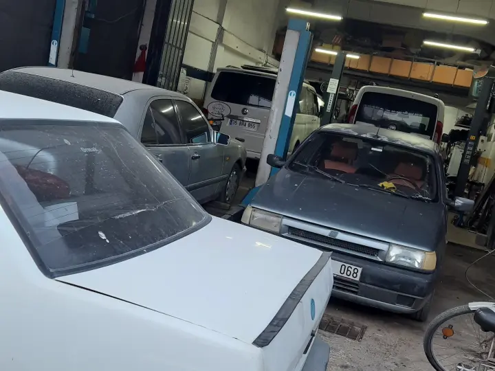 Erişkin Oto Renault Fiat Özel Servis
