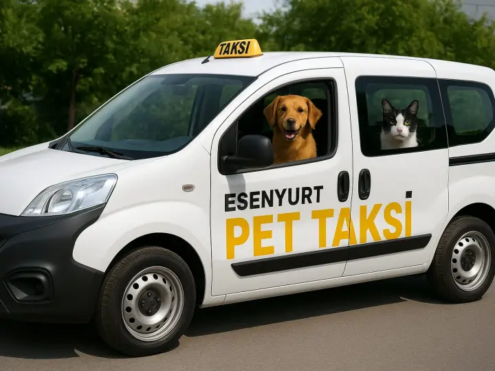 Esenyurt Pet Nakil Transfer - Pet Taksi