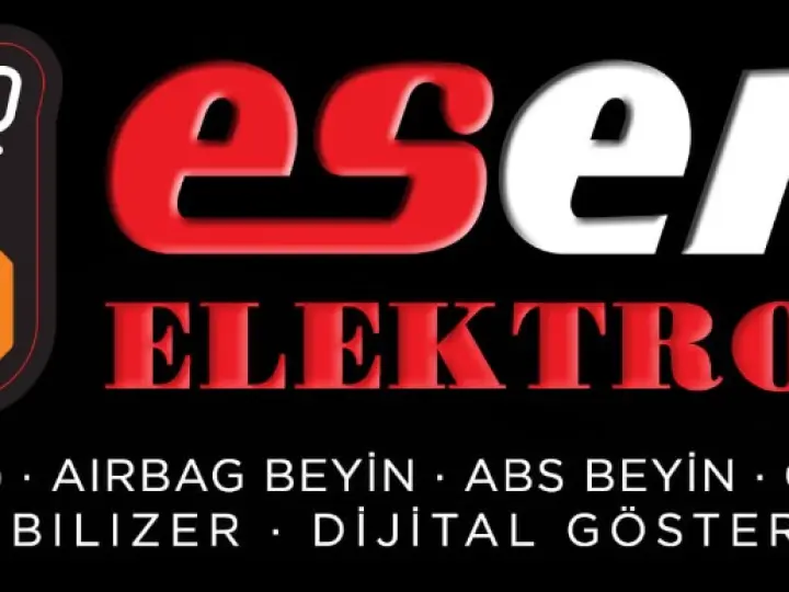 Esera Elektronik Ağır Hizmet Araçlar Beyin Tamiri
