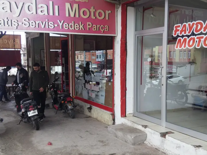 Falcon Arik Motor
