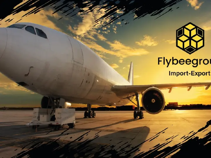 flybeegroup taşımacılık tekstil gıda emlak iç ve dış tic.ltd.şti.