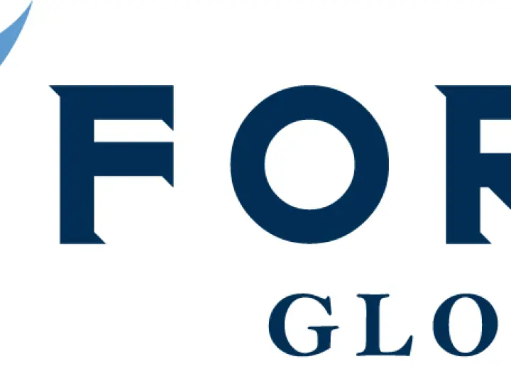 Foray Global Proje ve Lojistik Hizmetleri