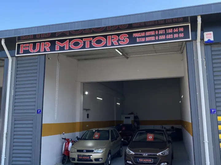 Fur Motors