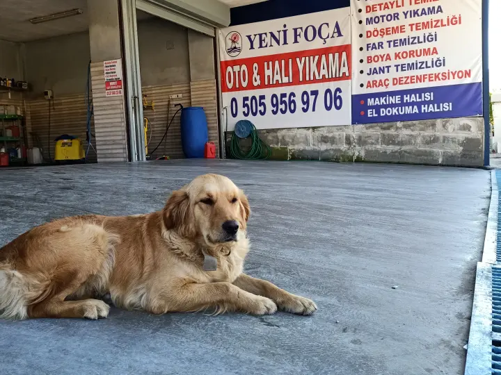 garaj foça oto yıkama detaylı temizlik ve boya koruma sistemleri