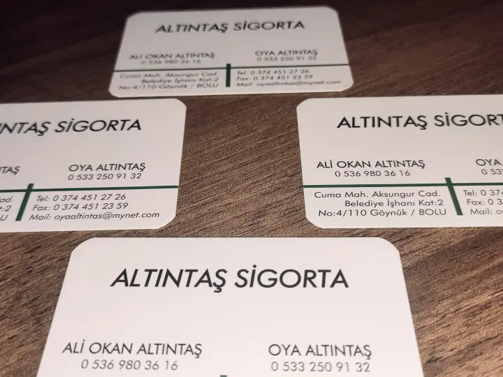 GÖYNÜK ALTINTAŞ SİGORTA LTD. ŞTİ.