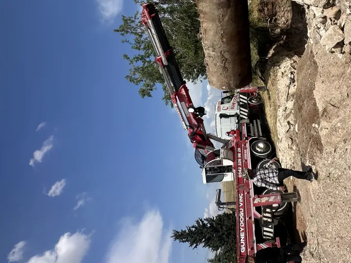 Güneydoğu vinç Forklift
