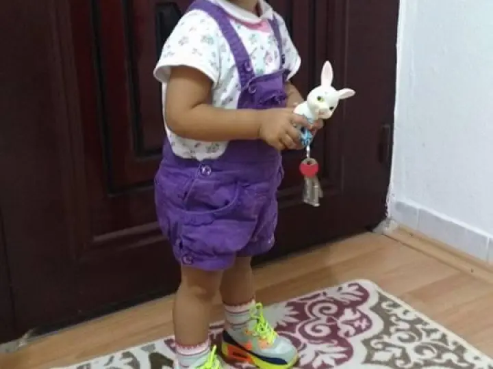 HESNAK Taşımacılık Krago Hizmetleri