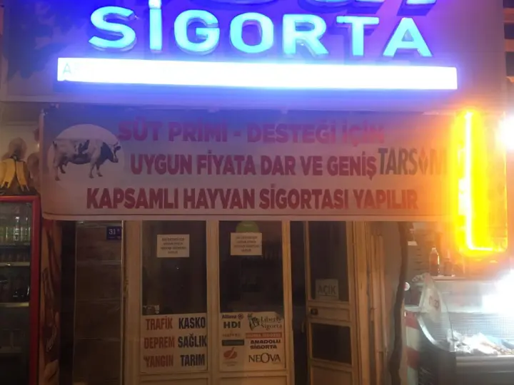 Hisar sigorta Bozdoğan Şubesi (Alparslan Erol Sigorta)