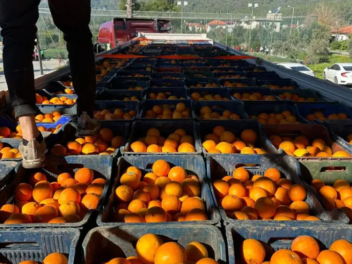 Hüdaverdi Gıda Tarım