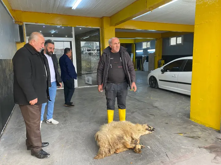 İçöz Oto Kaporta Boya Alım Satım