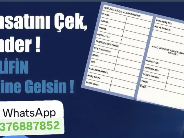 İdeal Sigorta Ayvalık -Trafik Sigortası-Kasko-Yeşilkart-Sağlık