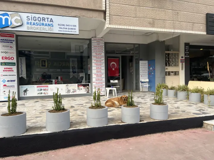 IMC Sigorta ve Reasürans Brokerliği A.Ş. Yalova Şubesi
