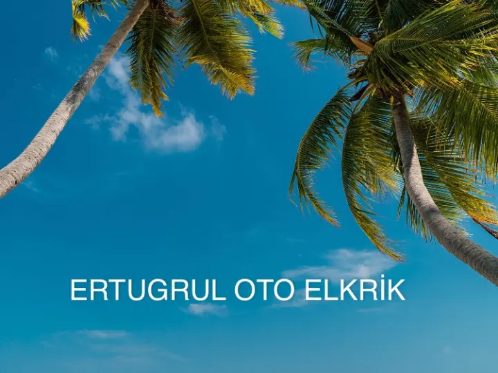Işık oto elektrik