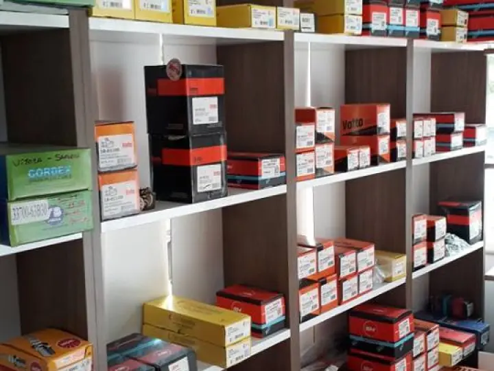 Japon Oto Bakım Servisi