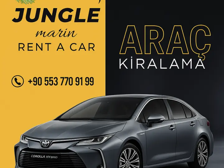Jungle Marin Rent A Car