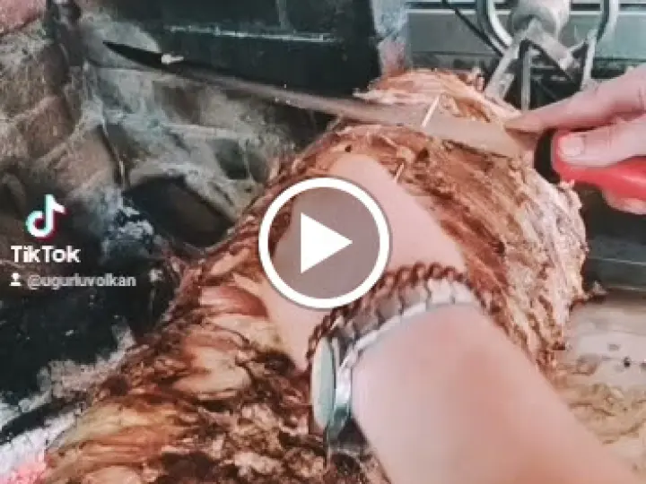 Kaledibi Termo Petrol