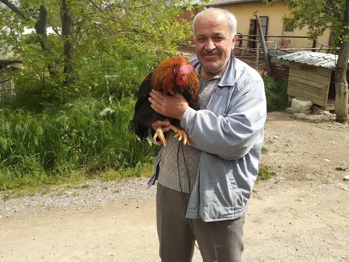 KARADAĞLI LOJİSTİK GIDA UN YEM