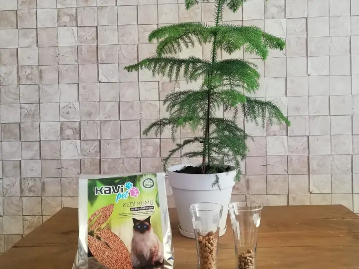 Kavi Ahşap Pelet Cips Yakıt