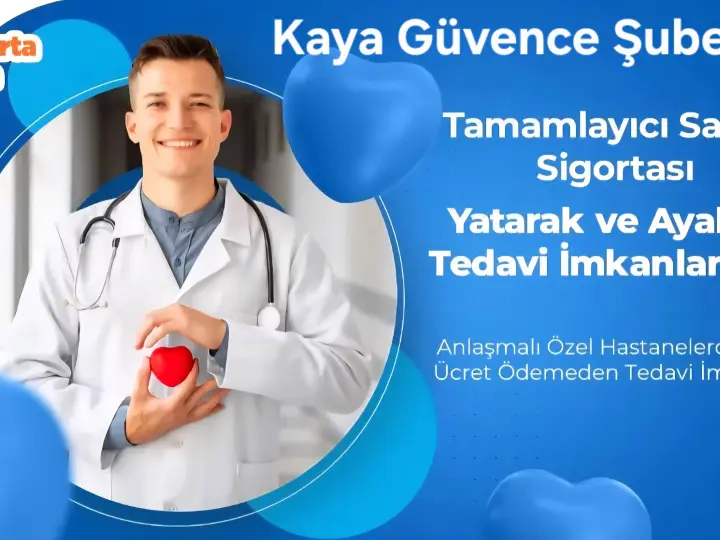 KAYA GÜVENCE ŞUBESİ / SİGORTA LİON